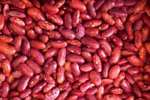 Purple Speckled Kidney bean